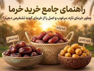 راهنمای جامع خرید خرما