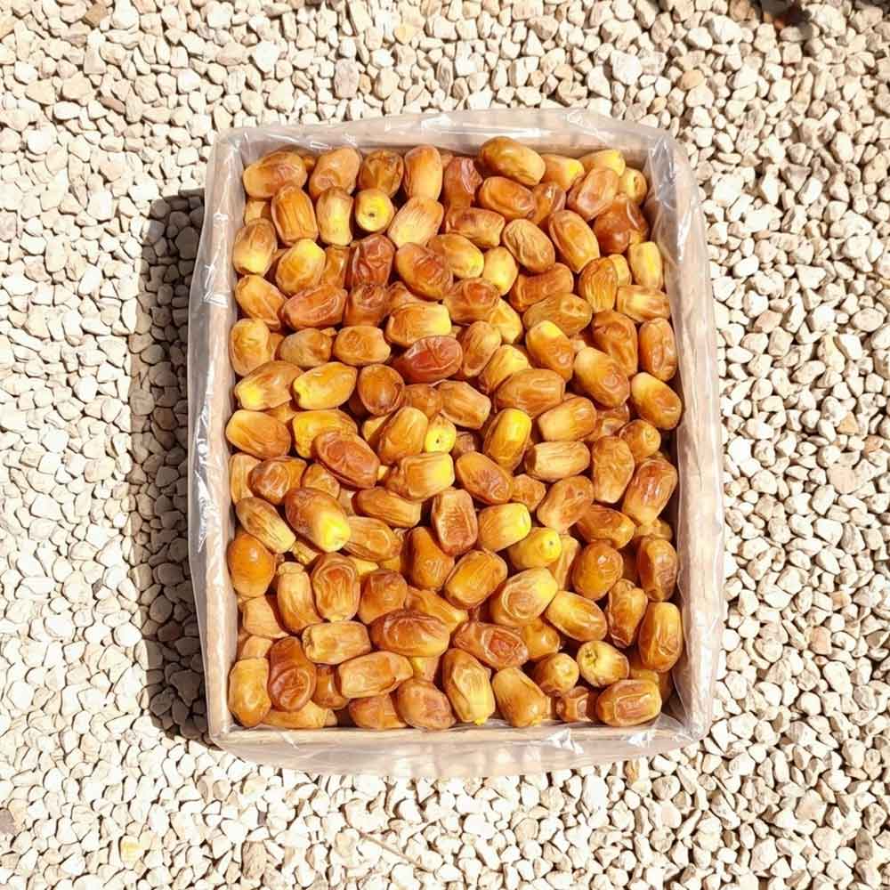 خرید خرمای زاهدی لوکس با دانه‌های زرد کهربایی و گوشتی در بسته بندی 1 کیلوگرمی